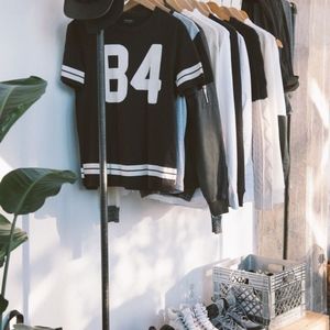 Meet your Posher, Lone fox